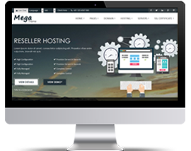 Reseller Hosting