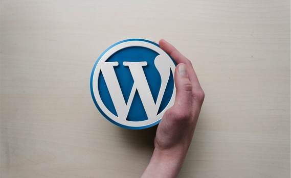 Fast Wordpress Website